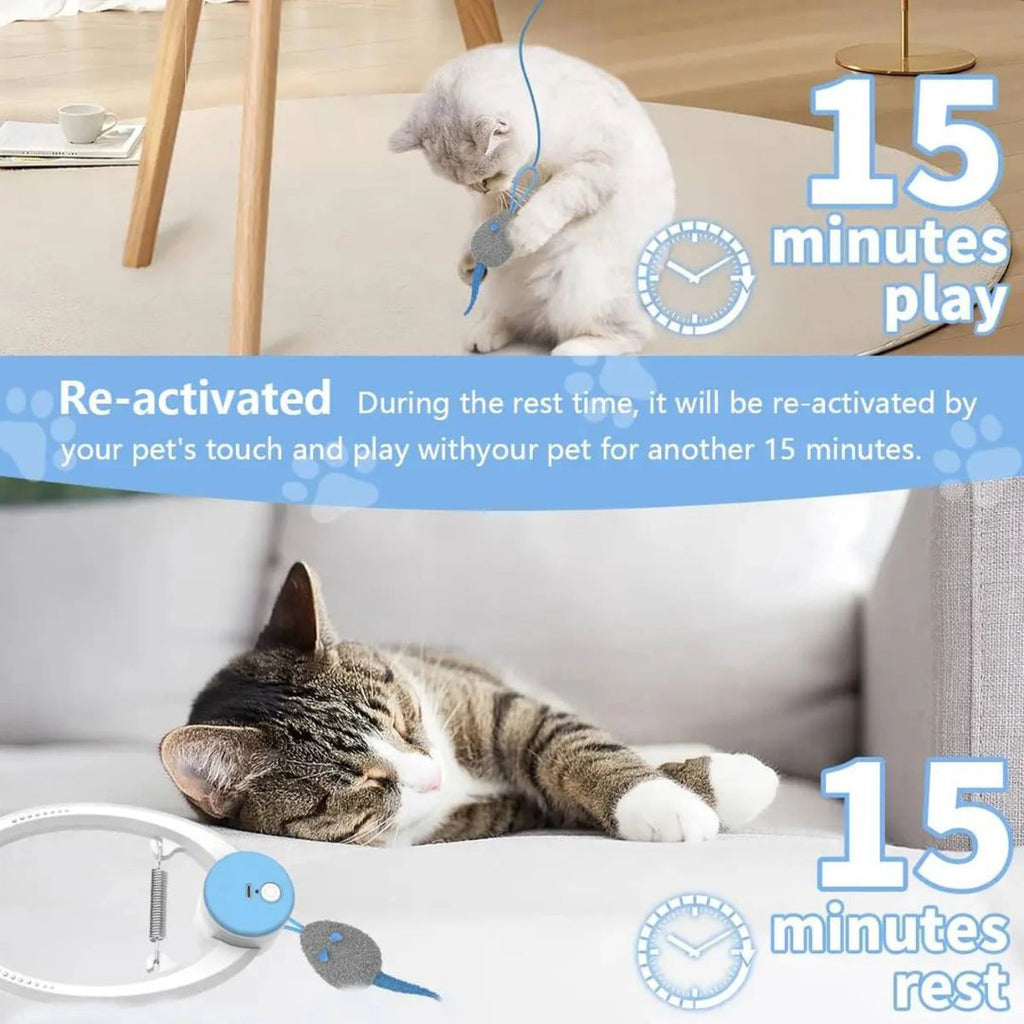 Door Hanging Auto Rebound Cat Toy -for Solo Play and Exercise