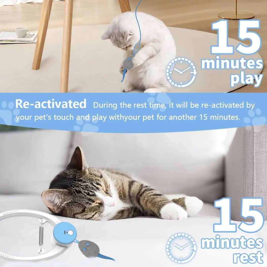 Door Hanging Auto Rebound Cat Toy -for Solo Play and Exercise