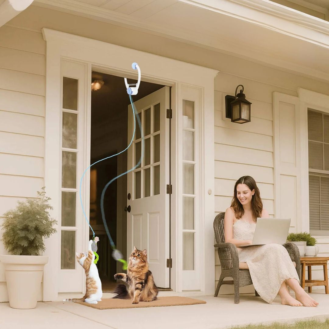 Door Hanging Auto Rebound Cat Toy -for Solo Play and Exercise