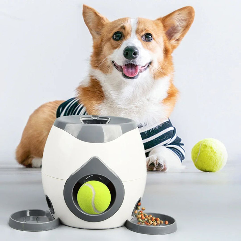 Interactive Pet Ball Launcher for Dogs & Puppies – Slow Feeder & Training Machine