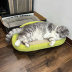 Modern cat bed