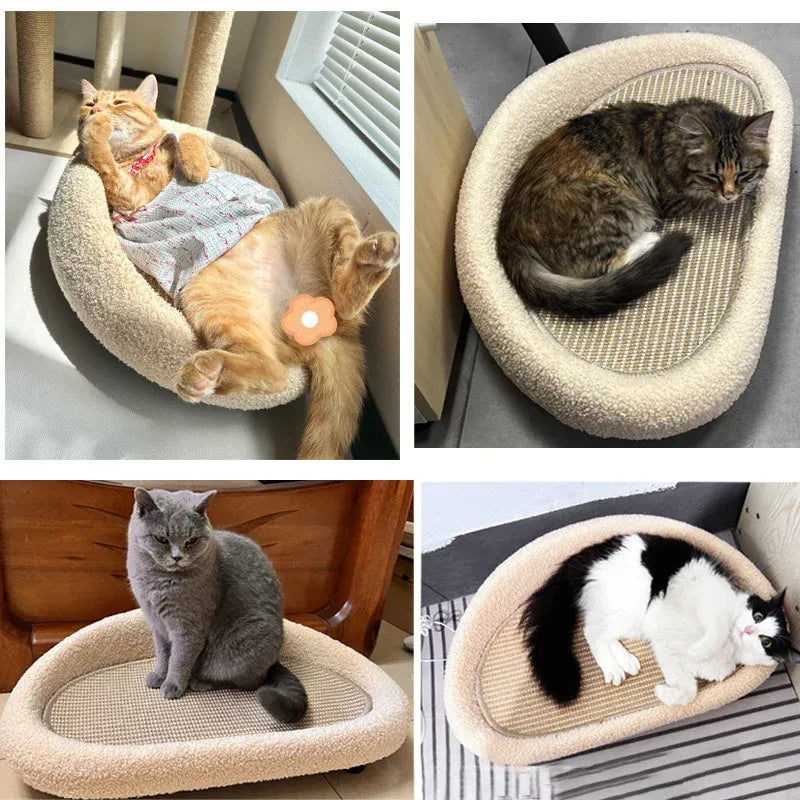 Stylish cat furniture