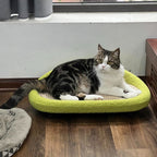 Stylish cat furniture