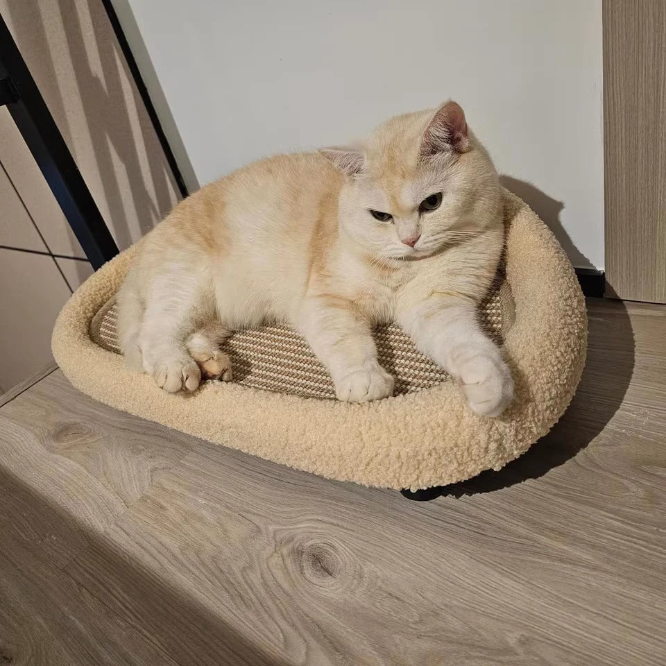 Cat bed for all seasons