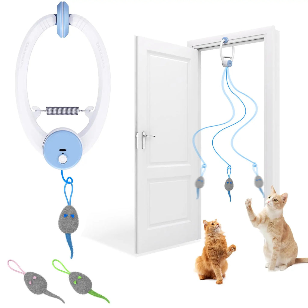 cat activity toy