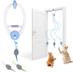 cat activity toy
