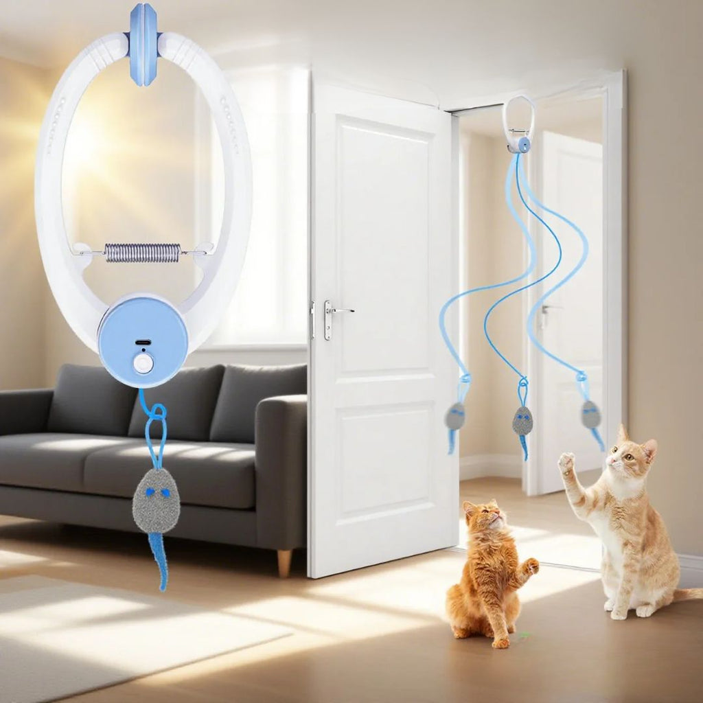 USB rechargeable cat toy