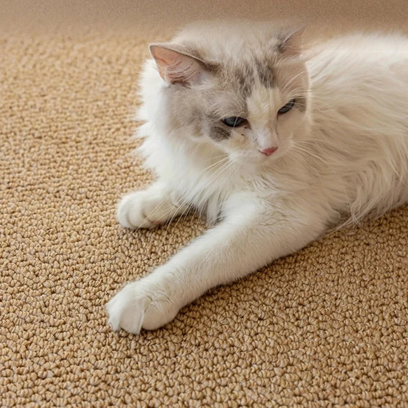 Furniture protection cat mat