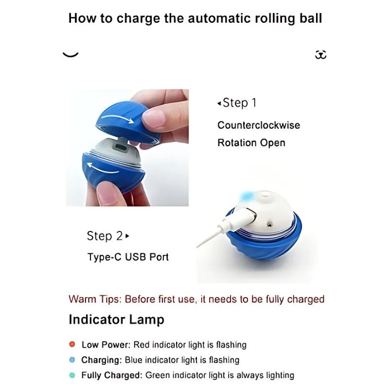 Smart dog toy