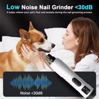Low noise dog nail grinder