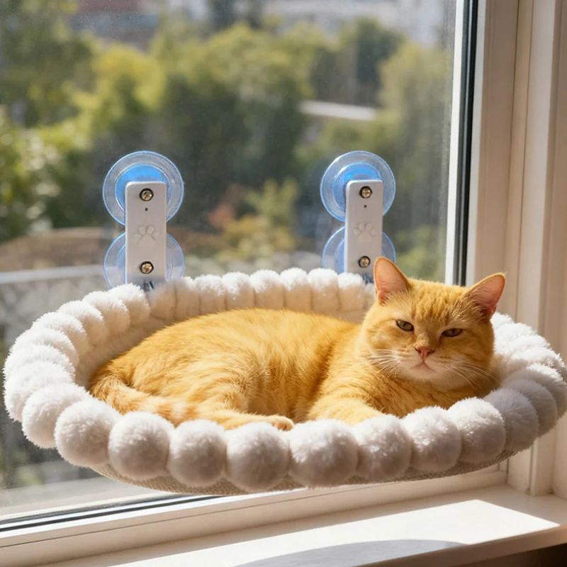 Heavy-duty cat hammock