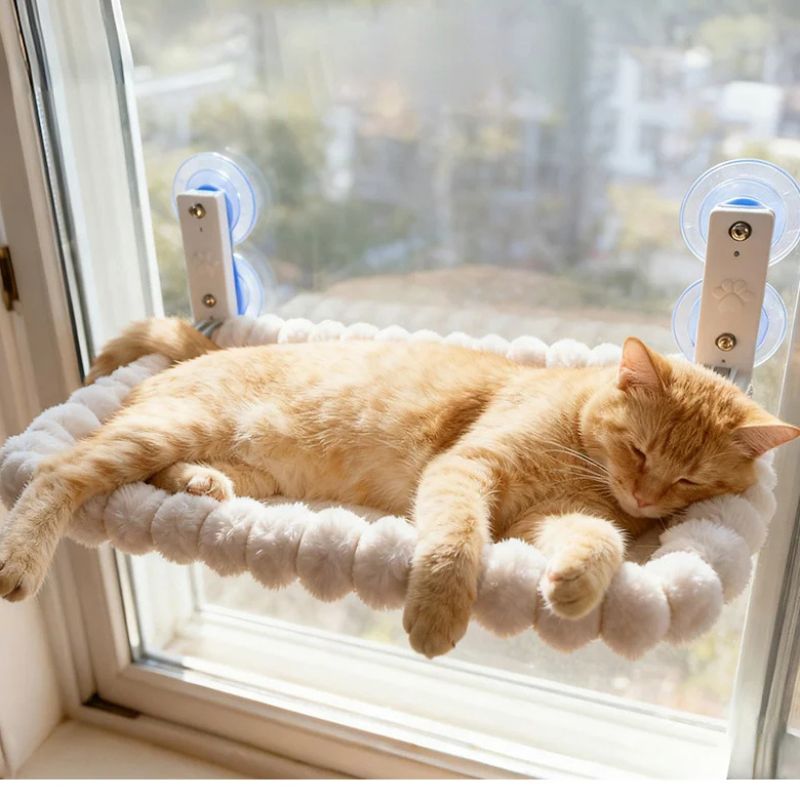 Durable cat window bed