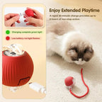 Smart USB Pet Exercise Bal