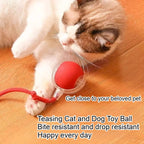 Smart USB Pet Exercise Bal