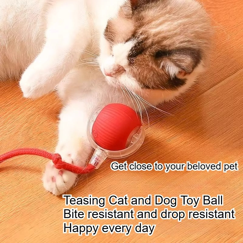 Smart USB Pet Exercise Bal