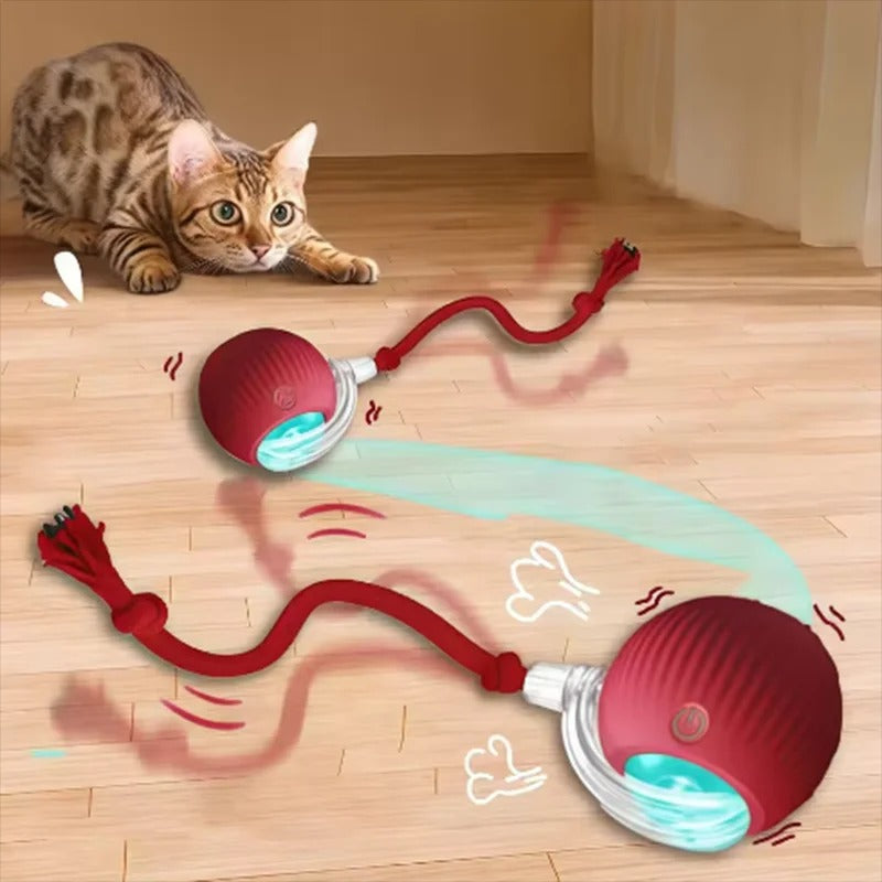 USB Charging Smart Pet Play Ball
