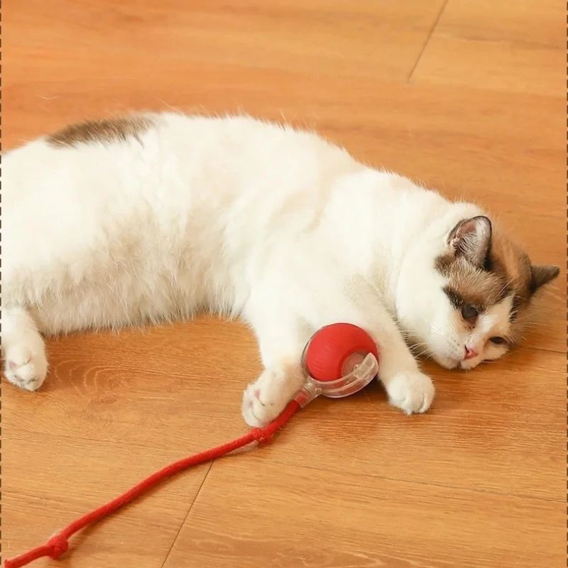 USB Powered Smart Rolling Pet Ball

