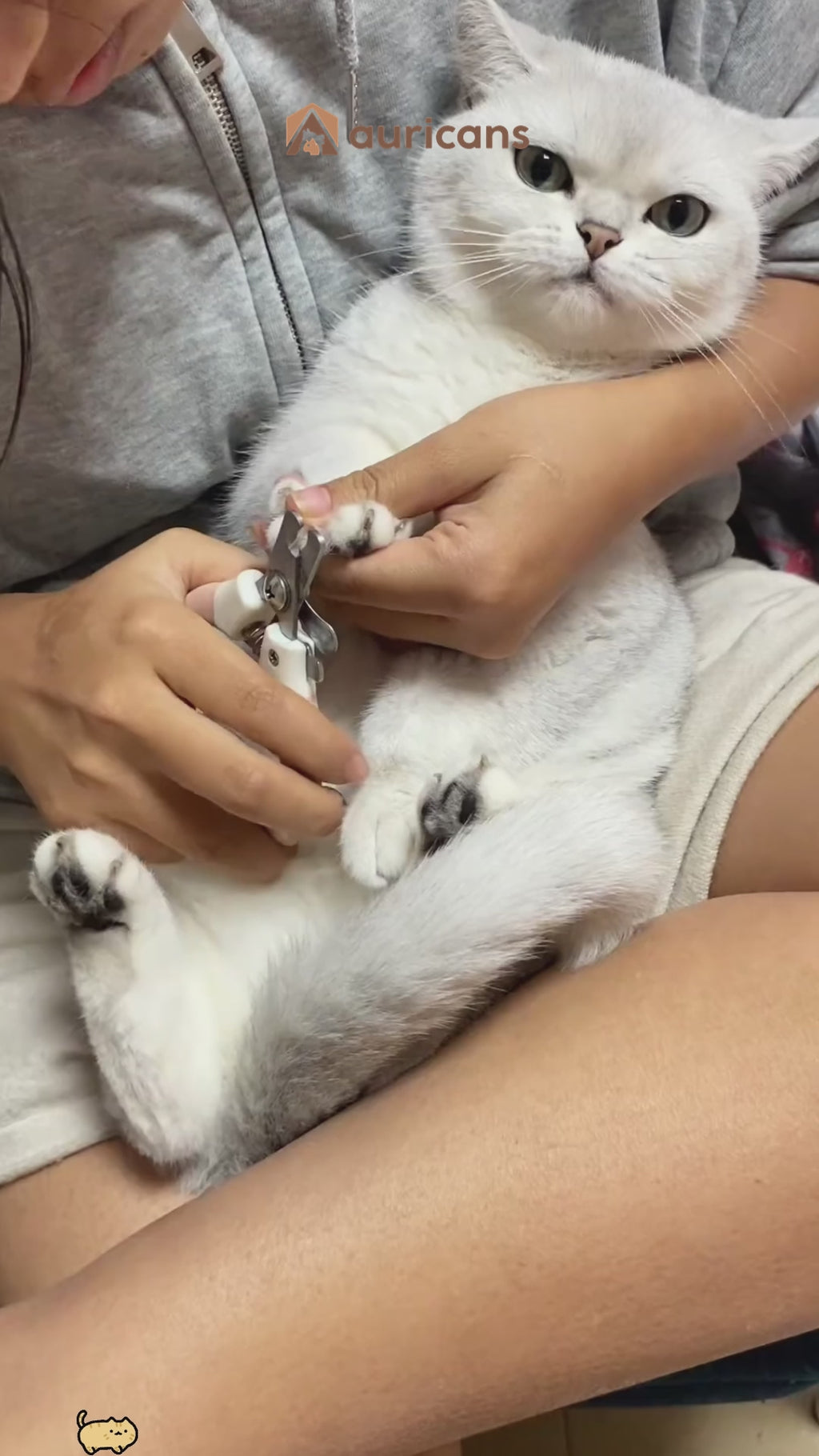 LED Light Pet Nail Trimmer -Smooth & Safe Trimming