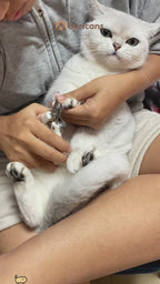 LED Light Pet Nail Trimmer -Smooth & Safe Trimming