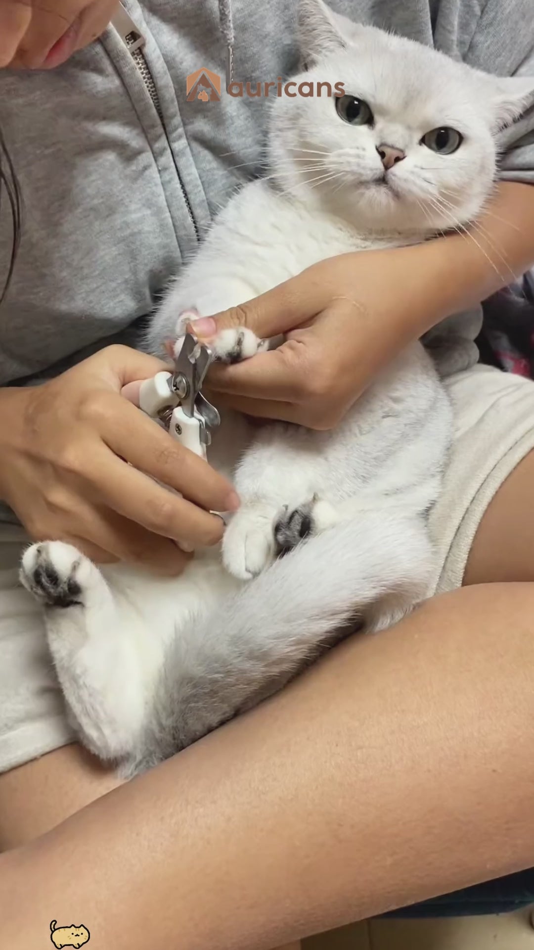 LED Light Pet Nail Trimmer -Smooth & Safe Trimming